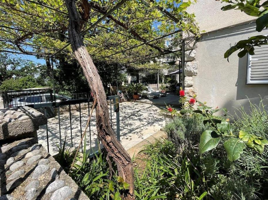 Apartment Nono Moj Dubrovnik Exterior foto